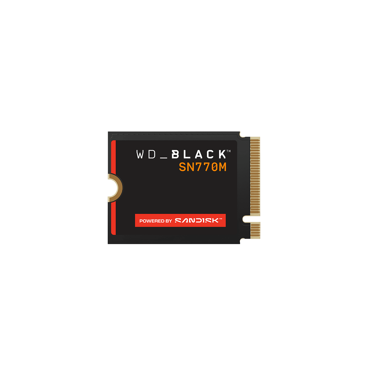WD_BLACK\u2122 SN770M NVMe\u2122 SSD - 500GB - Image1