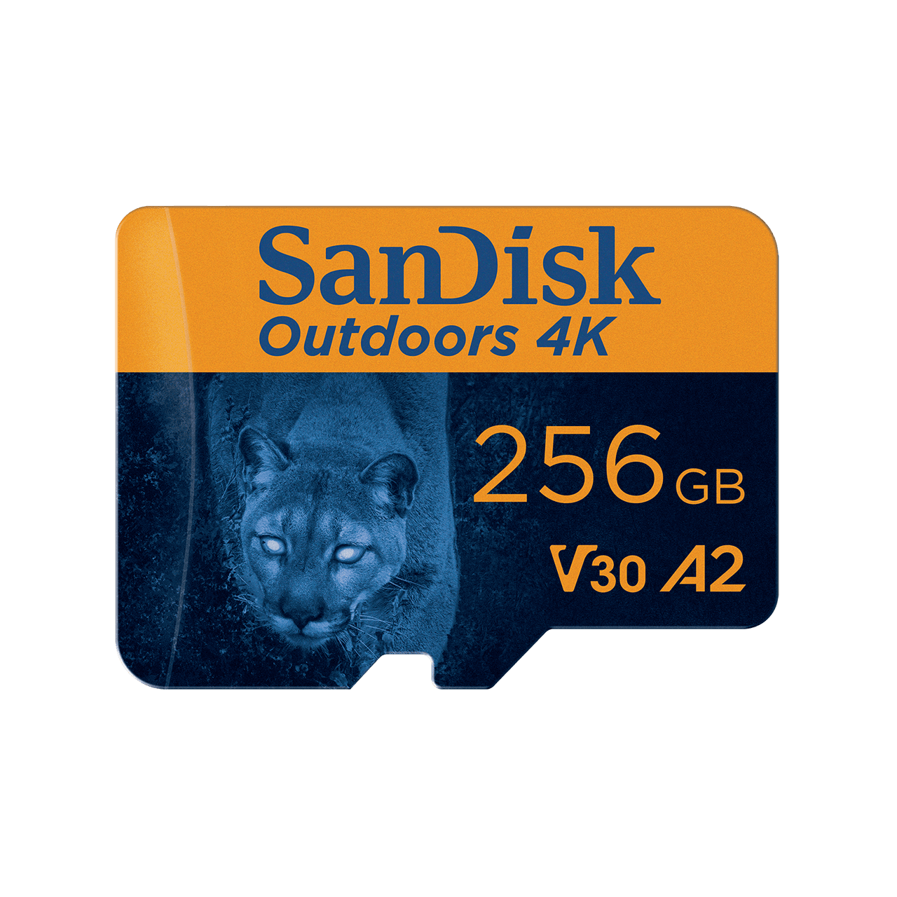 SanDisk Outdoors 4K microSDXC UHS-I Card with SD Adapter - 256GB - Image5